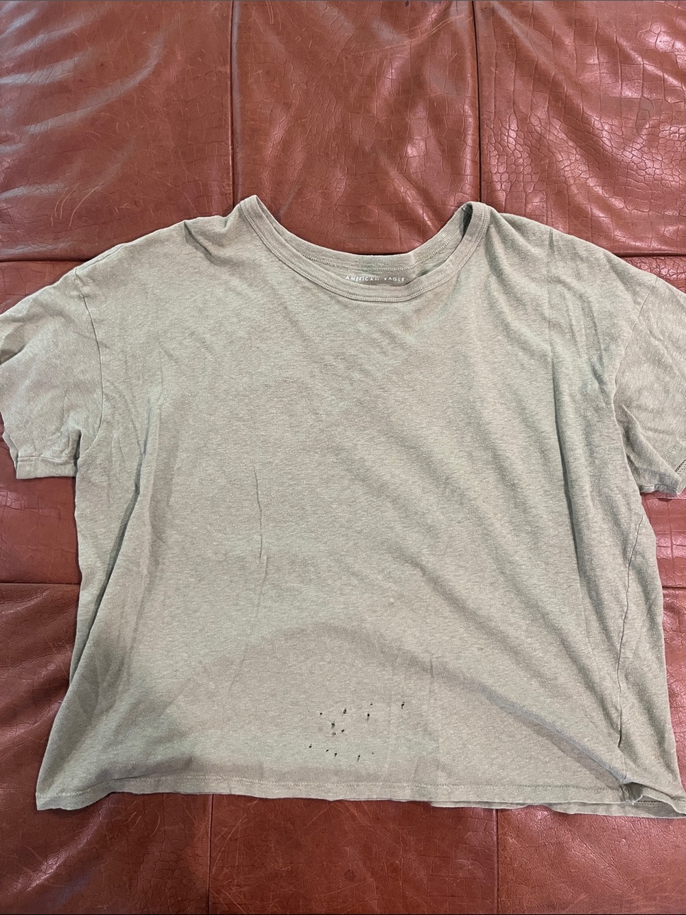 American Eagle Olive Green Crew Neck Tee